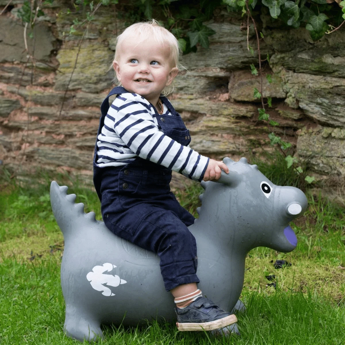 Happy Hopper Grey Dragon 4 Happy Hopper Grey Dragon - Image 2